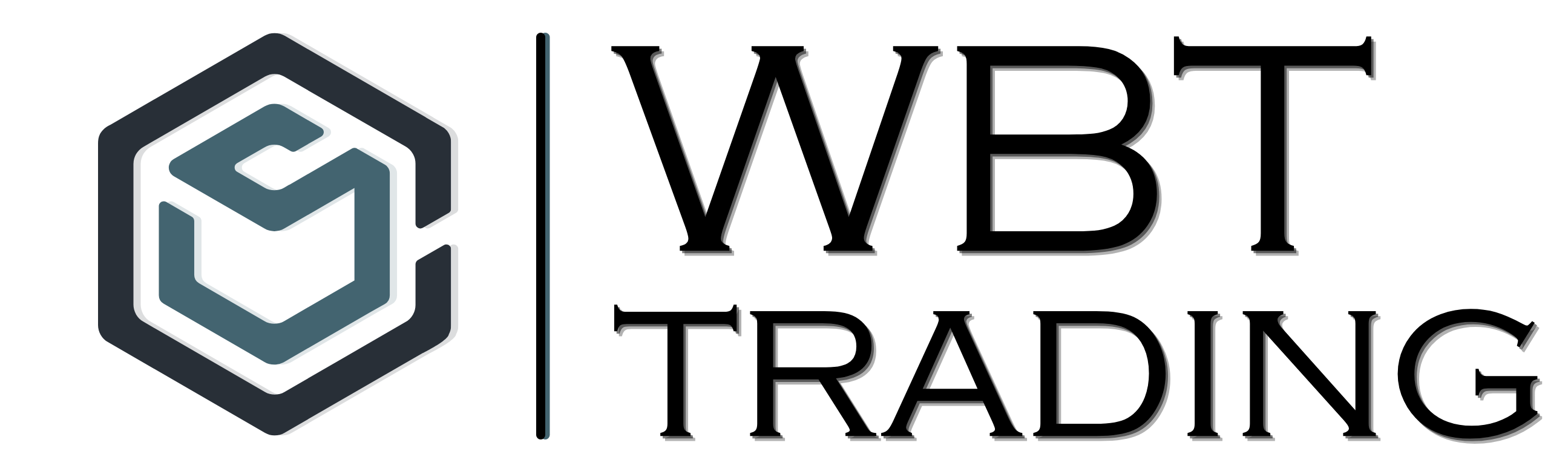 WBT Trading Ihr Fachmann für den Handel und Versand